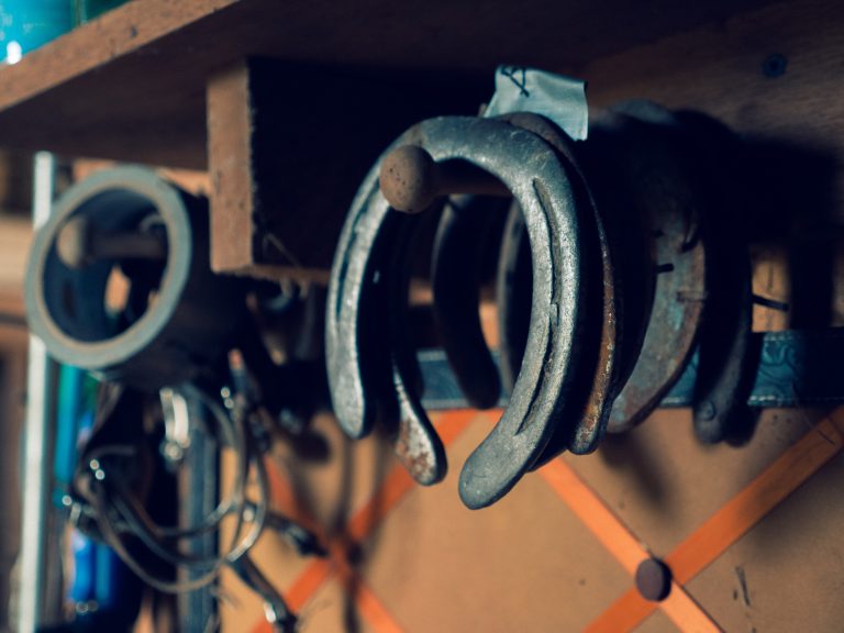 What Makes our equine farm in Dewdney so unique?