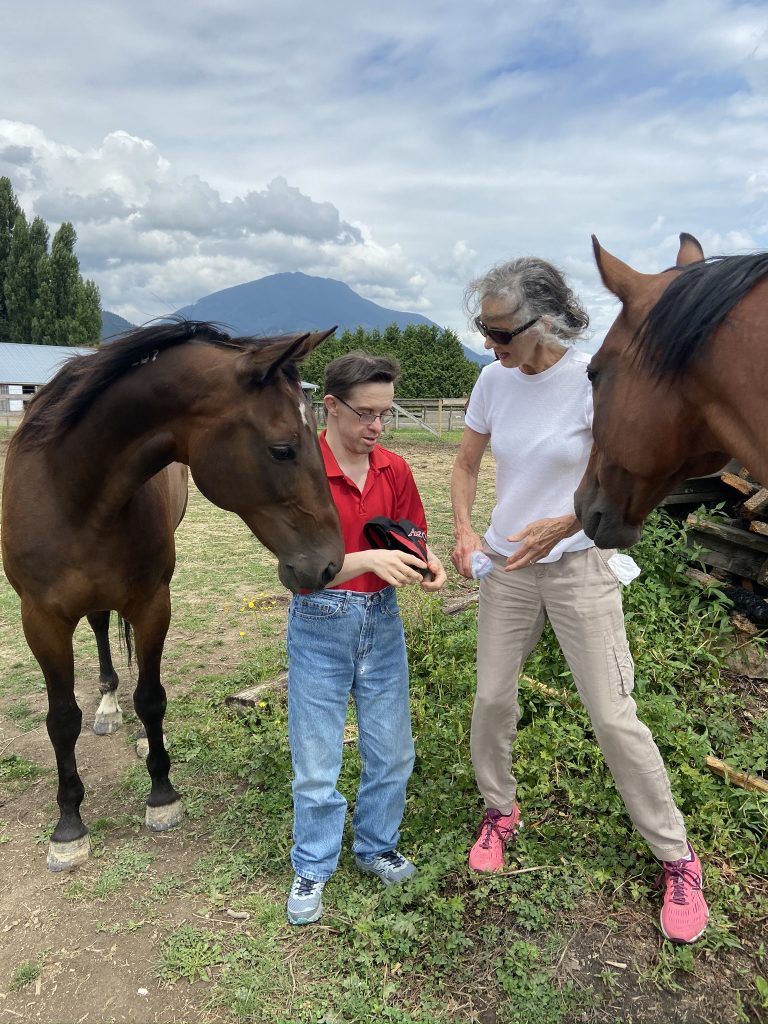 feeding horses at summer camp