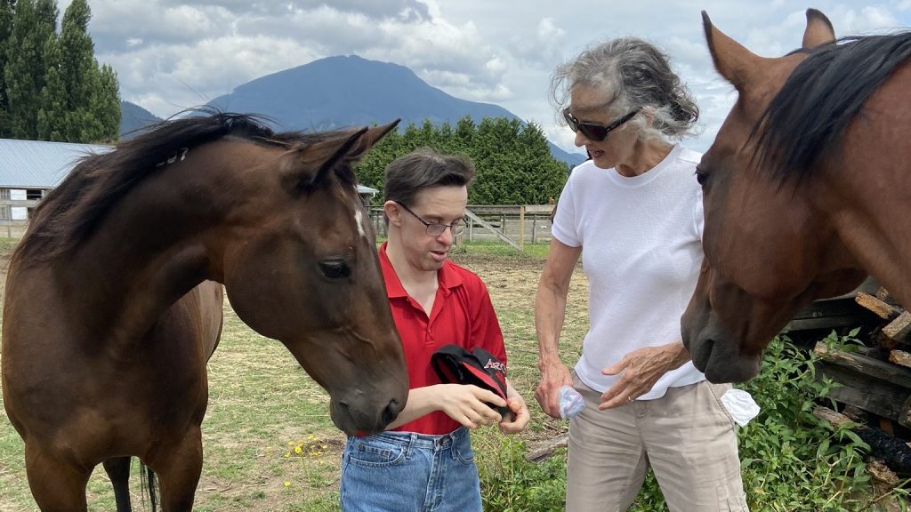 feeding horses at summer camp