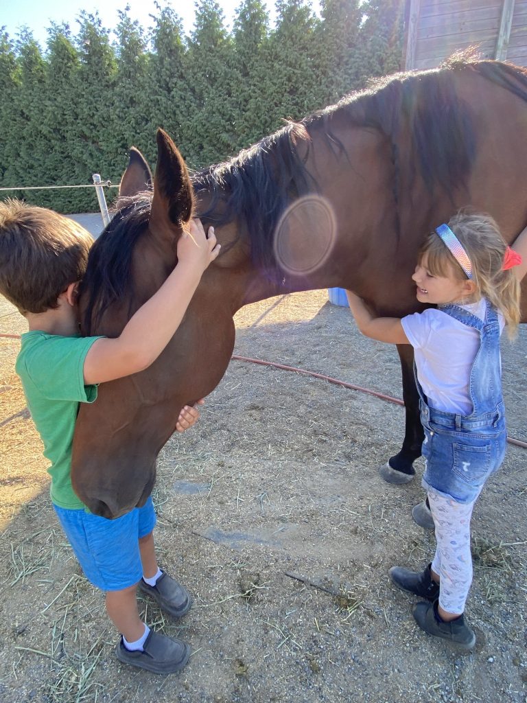 kids feeling horse