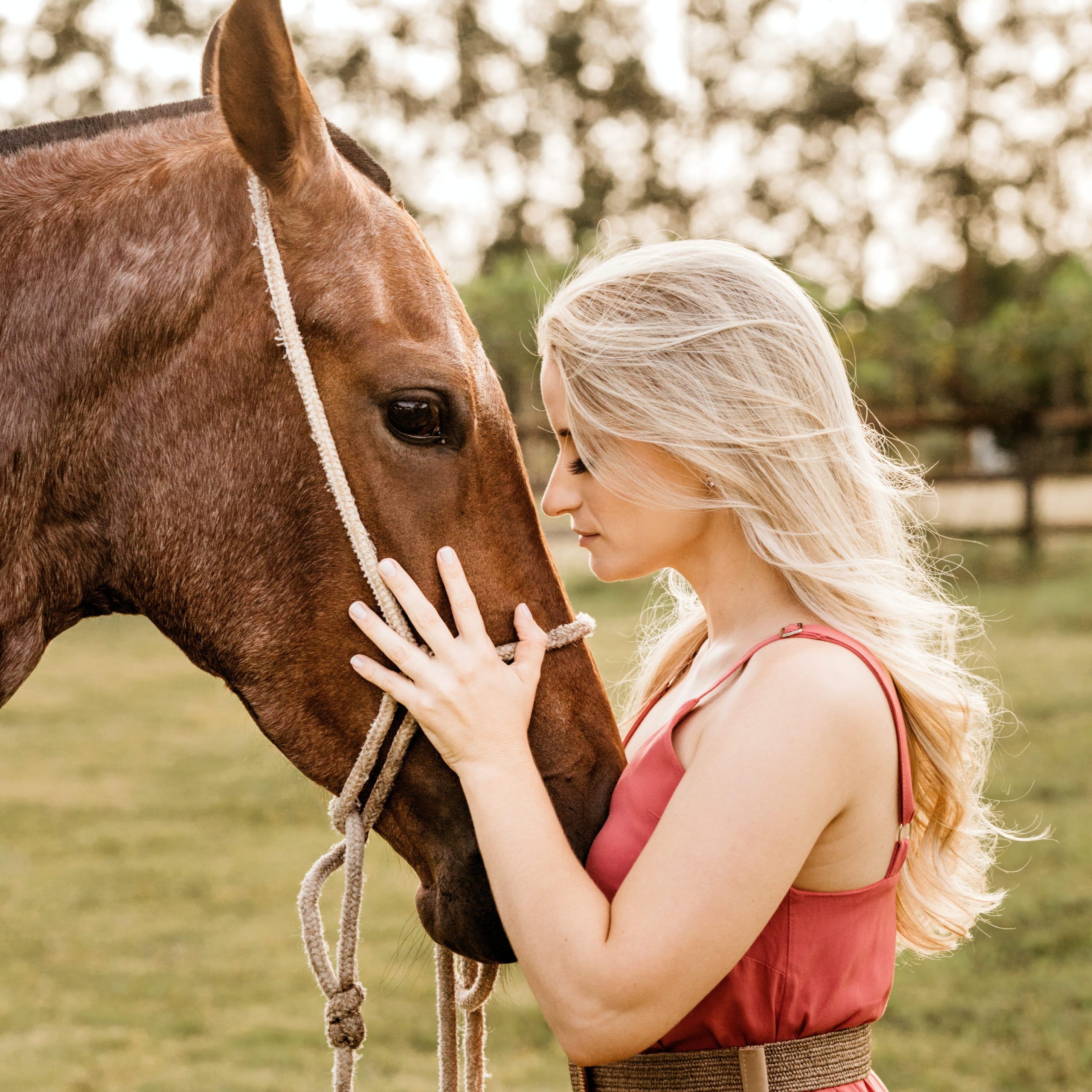 teenage girl during feel session with horse