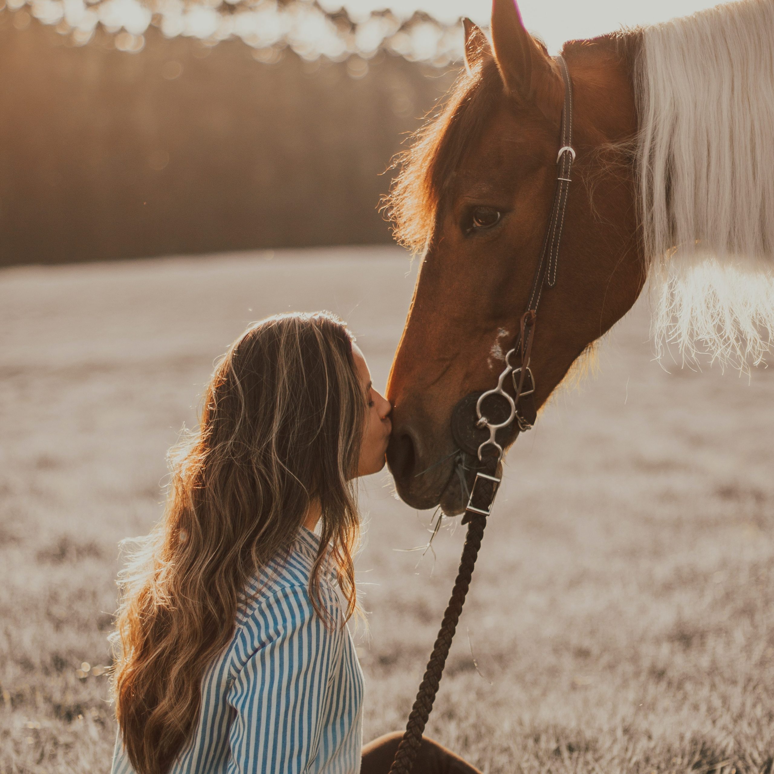 personal session with a horse