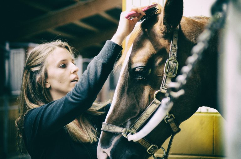 What is Equine Assisted Learning?